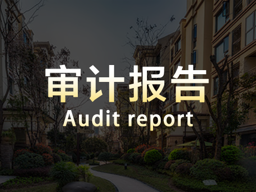 審計報告